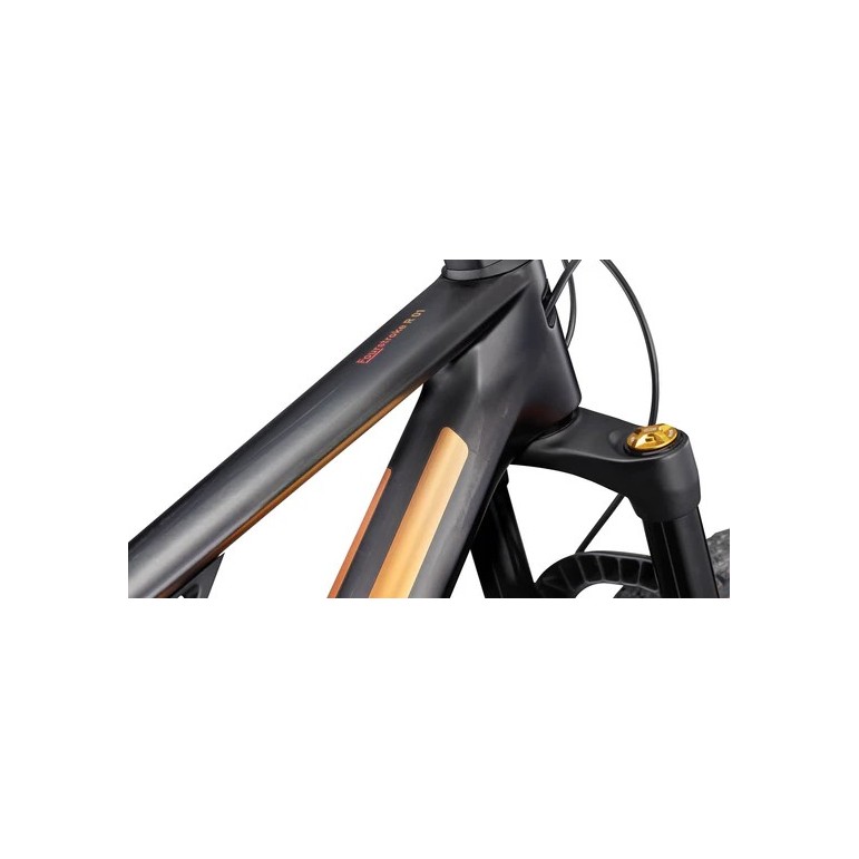 BMC FOURSTROKE R 01 ONE