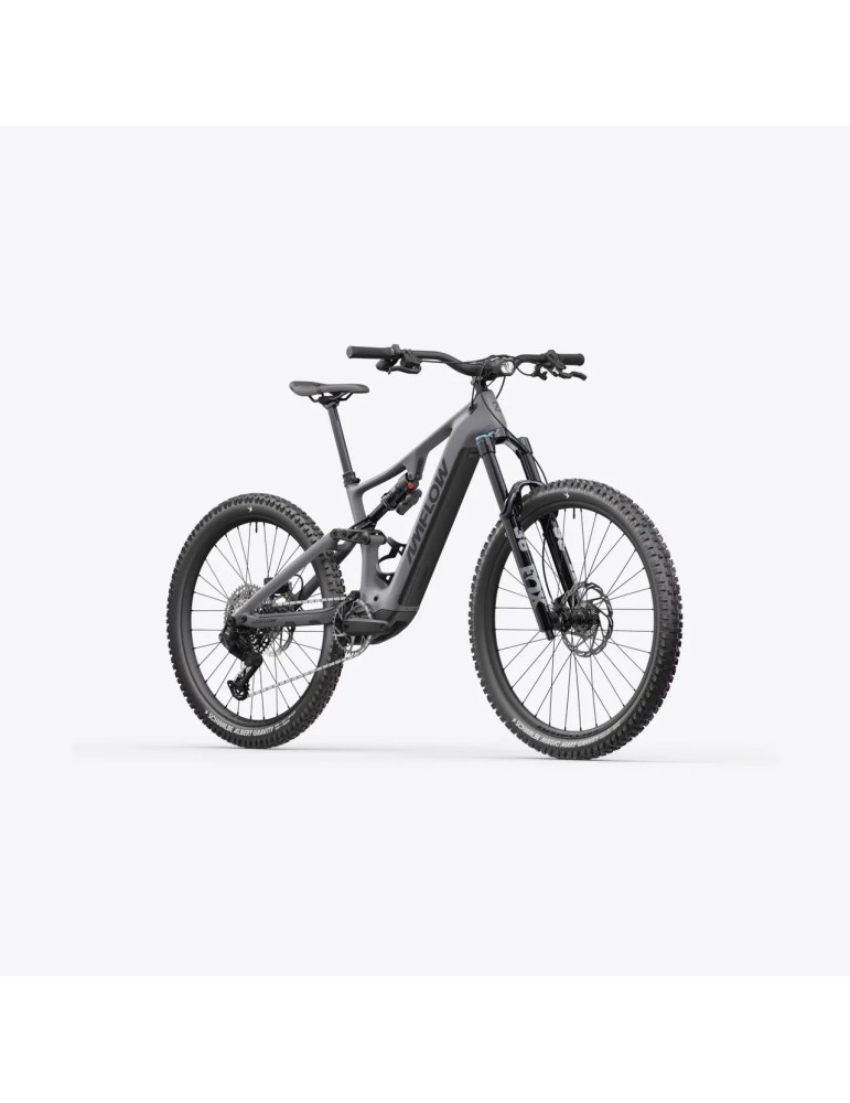 AMFLOW PR CARBON PRO
