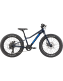 CANNONDALE KIDS TRAIL PLUS 20