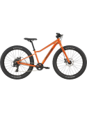 CANNONDALE KIDS TRAIL PLUS 24