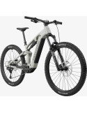 CANNONDALE MOTERRA 3
