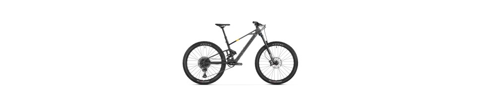 Eléctricas Dobles MTB