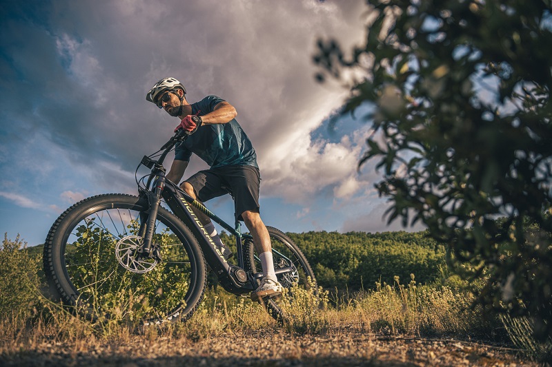 tienda online ebikes